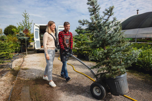 Best Tree Stump Removal  in Sisco Heights, WA